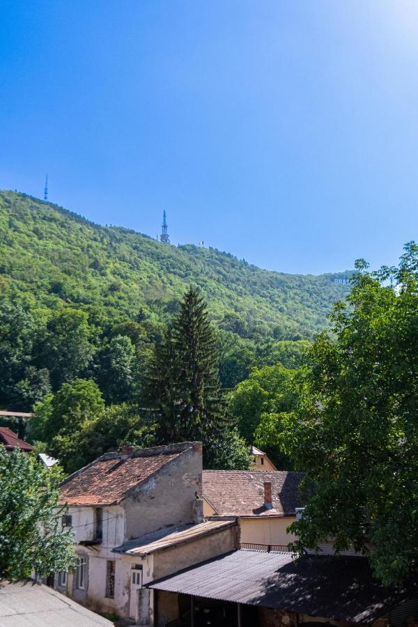 Black Gate - Quiet Studio In The Heart Of Old Town With Free Private Secured Parking Braşov Eksteriør billede